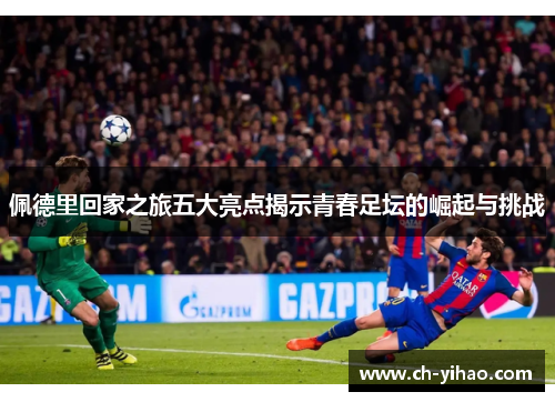 佩德里回家之旅五大亮点揭示青春足坛的崛起与挑战
