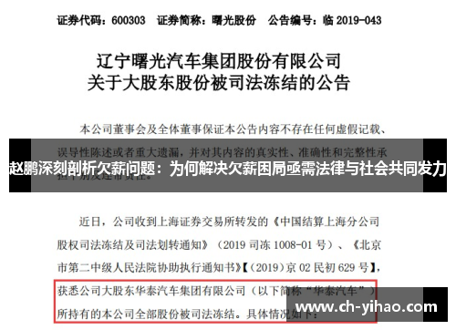 赵鹏深刻剖析欠薪问题：为何解决欠薪困局亟需法律与社会共同发力