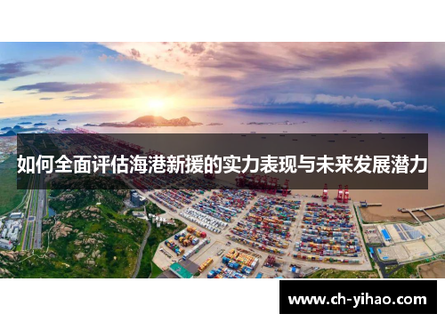 如何全面评估海港新援的实力表现与未来发展潜力