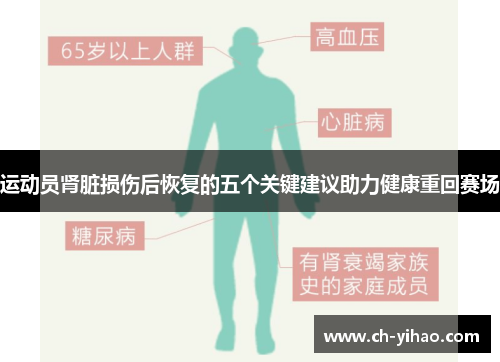 运动员肾脏损伤后恢复的五个关键建议助力健康重回赛场