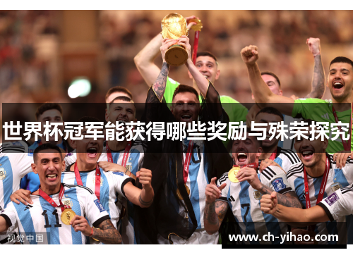 世界杯冠军能获得哪些奖励与殊荣探究